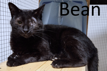 Stone County Humane Society